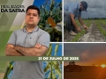 Realidades da Safra - Notícias Agrícolas