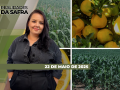 Realidades da Safra - Notícias Agrícolas