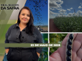 Realidades da Safra - Notícias Agrícolas