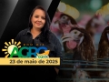 Bom Dia Agro - Com Carla Mendes