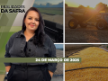 Realidades da Safra - Notícias Agrícolas