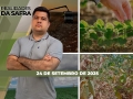 Realidades da Safra - Notícias Agrícolas