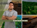 Realidades da Safra - Notícias Agrícolas