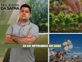 Realidades da Safra - Notícias Agrícolas