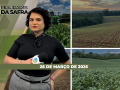 Realidades da Safra - Notícias Agrícolas