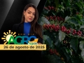 Bom Dia Agro - Com Andressa Simão