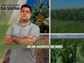 Realidades da Safra - Notícias Agrícolas