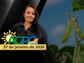 Bom Dia Agro - Com Carla Mendes