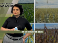 Realidades da Safra - Notícias Agrícolas