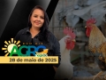 Bom Dia Agro - Com Carla Mendes