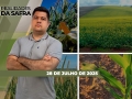 Realidades da Safra - Notícias Agrícolas