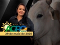 Bom Dia Agro - Com Carla Mendes