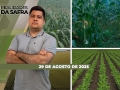 Realidades da Safra - Notícias Agrícolas