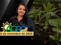 Bom Dia Agro - Com Carla Mendes