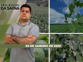 Realidades da Safra - Notícias Agrícolas