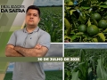 Realidades da Safra - Notícias Agrícolas