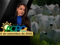 Bom Dia Agro - com Andressa Simão