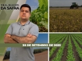 Realidades da Safra - Notícias Agrícolas