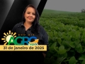 Bom Dia Agro - Com Carla Mendes