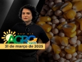 Bom dia Agro - Com Letícia Guimarães