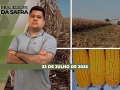 Realidades da Safra - Notícias Agrícolas