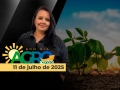 Bom Dia Agro - Com Carla Mendes