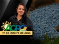 Bom Dia Agro - Com Carla Mendes