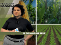 Realidades da Safra - Notícias Agrícolas