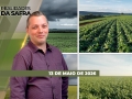 Realidades da Safra - Notícias Agrícolas