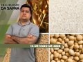 Realidades da Safra - Notícias Agrícolas