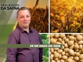 Realidades da Safra - Notícias Agrícolas