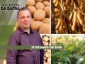 Realidades da Safra - Notícias Agrícolas