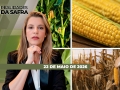 Realidades da Safra - Notícias Agrícolas