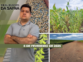 Realidades da Safra - Notícias Agrícolas