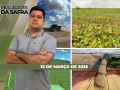 Realidades da Safra - Notícias Agrícolas