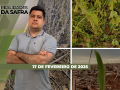 Realidades da Safra - Notícias Agrícolas