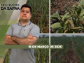 Realidades da Safra - Notícias Agrícolas