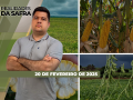 Realidades da Safra - Notícias Agrícolas