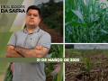 Realidades da Safra - Notícias Agrícolas