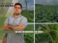 Realidades da Safra - Notícias Agrícolas
