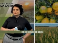 Realidades da Safra - Notícias Agrícolas