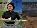 Realidades da Safra - Notícias Agrícolas