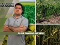 Realidades da Safra - Notícias Agrícolas