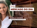 Isabella Camargo - Zootecnista e analista da HN Agro