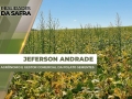 Jeferson Andrade - Agrônomo e Gestor Comercial da Polato Sementes