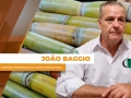 João Baggio - Diretor Presidente  G7 Agro Consultoria