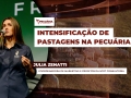Julia Zenatti - Coordenadora de marketing e projetos da Scot Consultoria