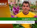 Vilberto Guidi - Proprietário da Vico Orquídeas