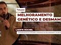 Laerte Rochel - Coordenador do Promebo, Programa de Melhoramento de Bovinos de Carne