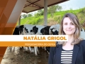 Natália Grigol - Pesquisadora do Cepea
